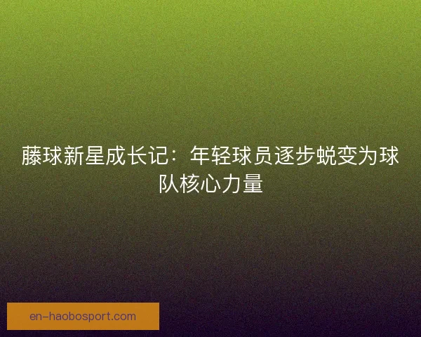 藤球新星成长记：年轻球员逐步蜕变为球队核心力量